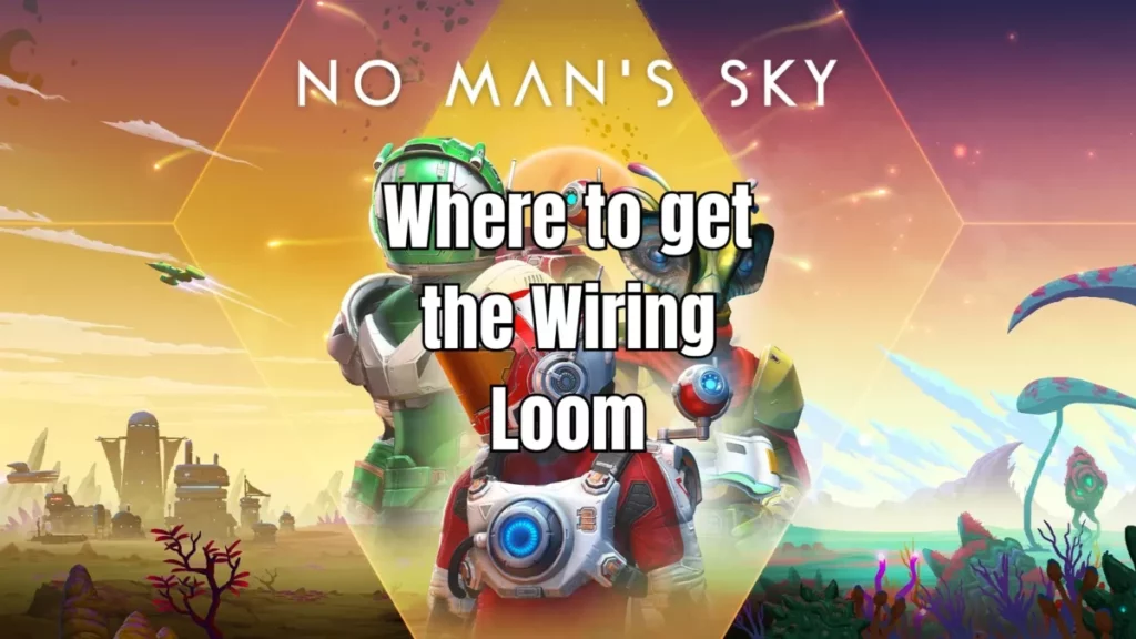 No Man's Sky Wiring Loom